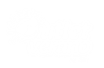 Logo Outlet Verano